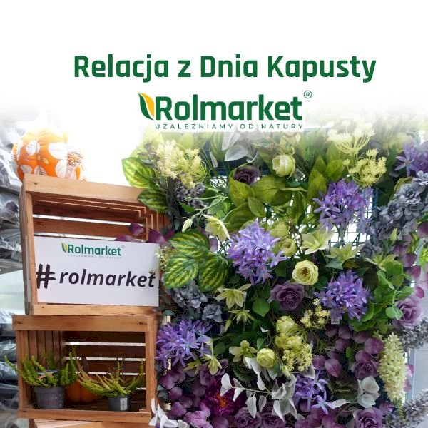 Relacja z Dnia Kapusty w Centrum Ogrodniczym Rolmarket